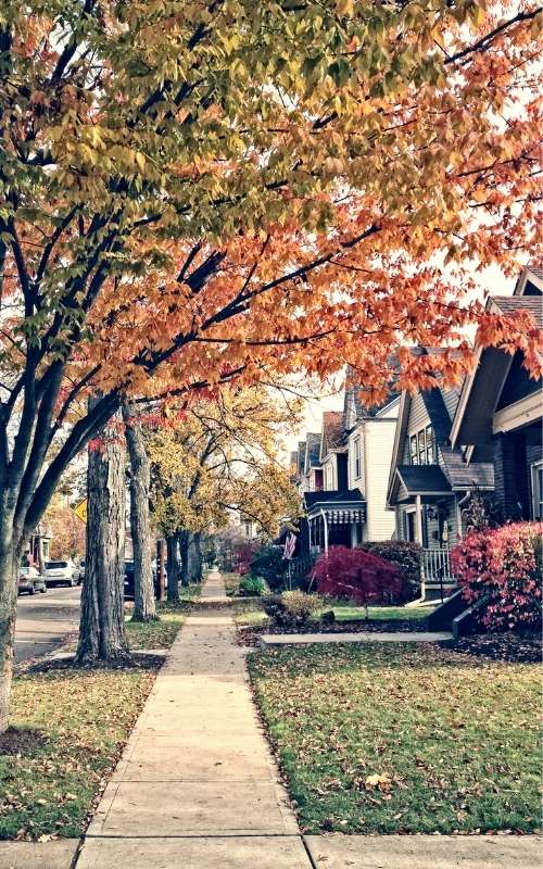 Houses on a city sidewalk500x800